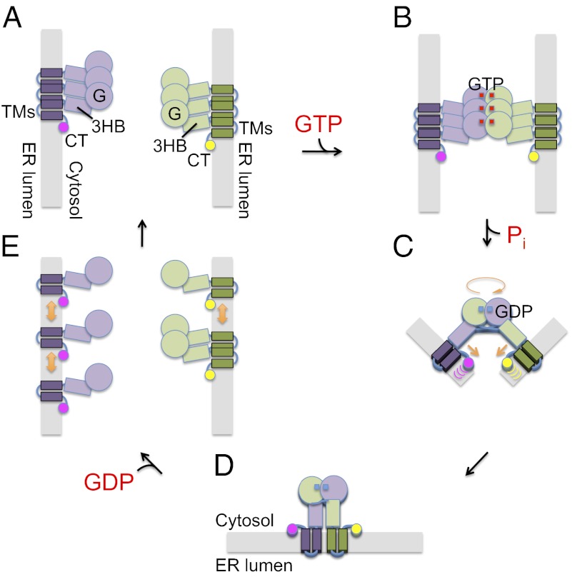 Fig. P1.