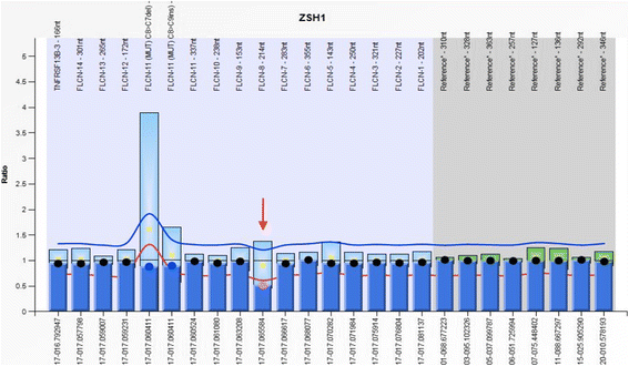 Fig. 3