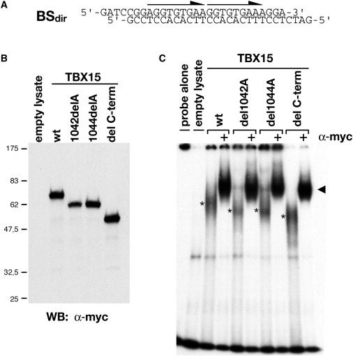 Figure 4