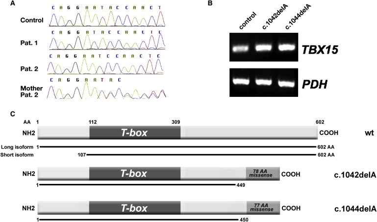 Figure 3