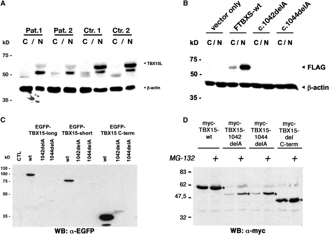 Figure 5