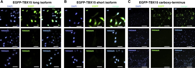 Figure 6