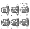 Fig. 2