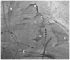 Fig. 8