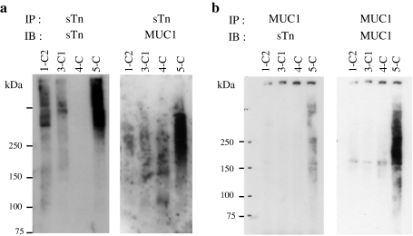 Fig. 5