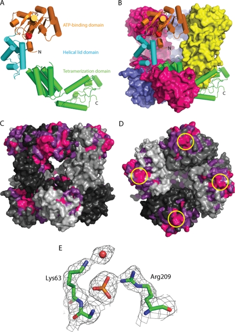 FIGURE 1.