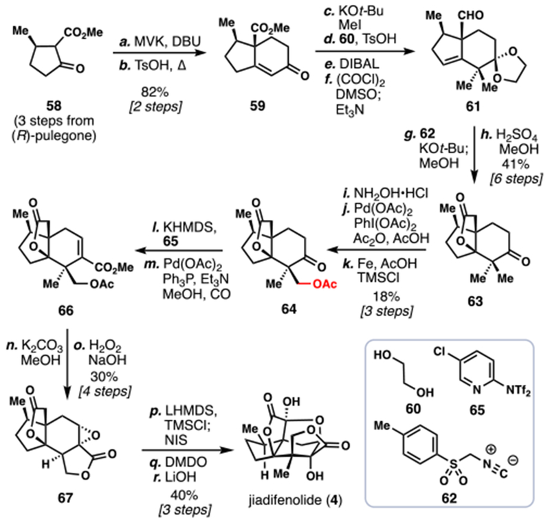 Scheme 6.