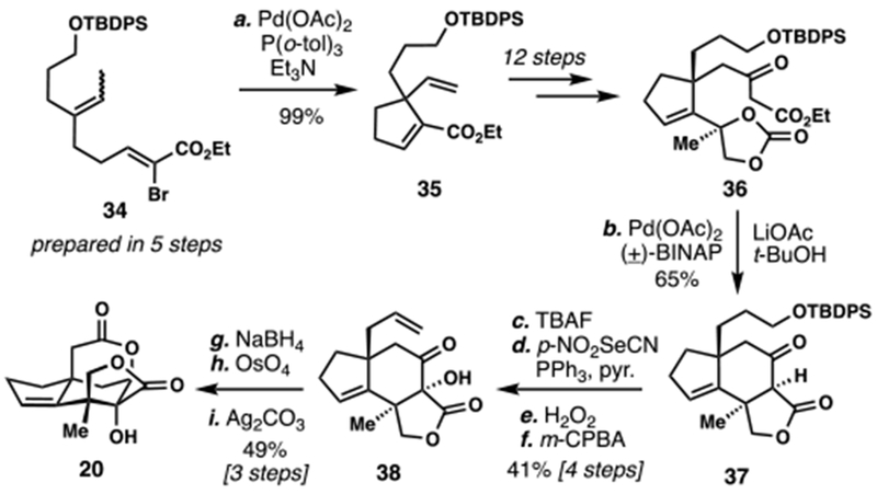 Scheme 3.