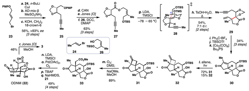 Scheme 2.