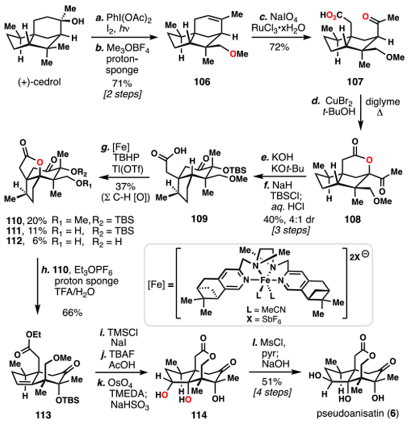 Scheme 11.