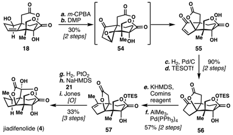 Scheme 5.