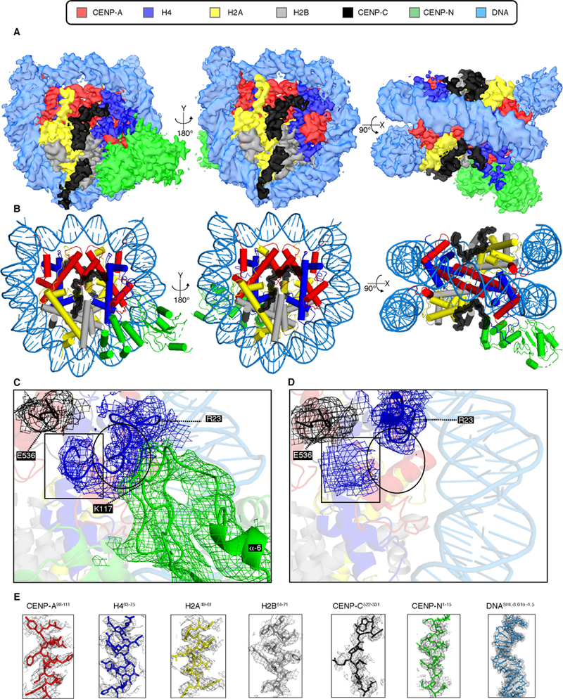 Figure 5.