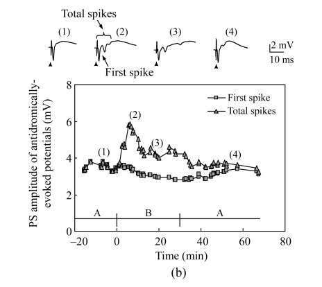 Fig.1