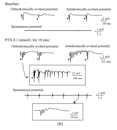 Fig.3