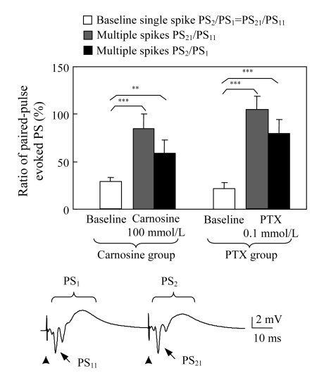 Fig.4