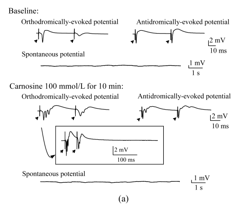 Fig.3