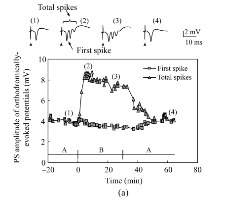 Fig.1