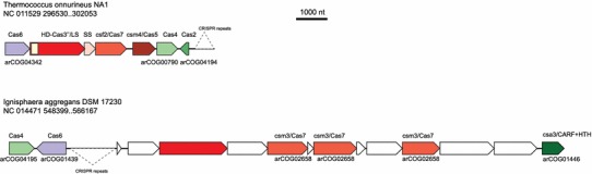 Fig. 8