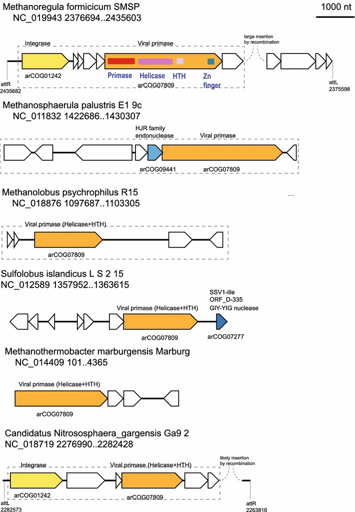 Fig. 7