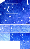 Figure 10.