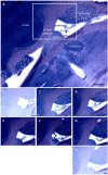 Figure 9.