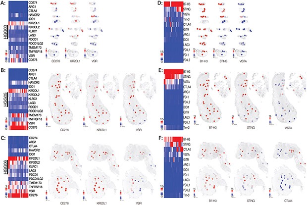 Figure 6: