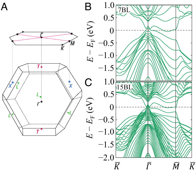 Fig. 6.