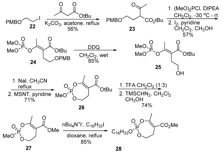 Scheme 6