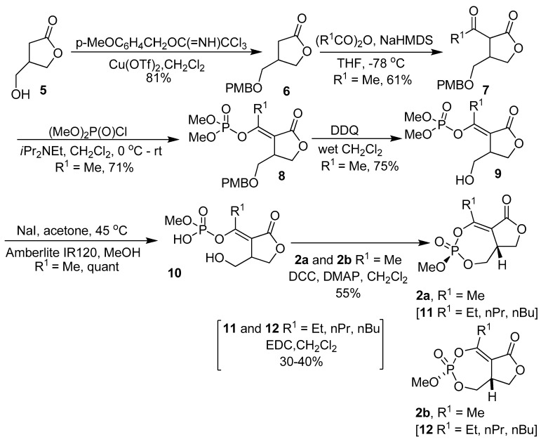 Scheme 1