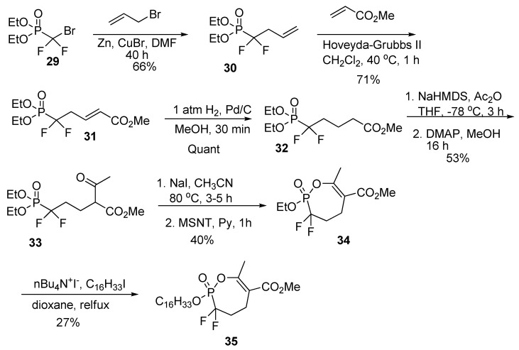 Scheme 7