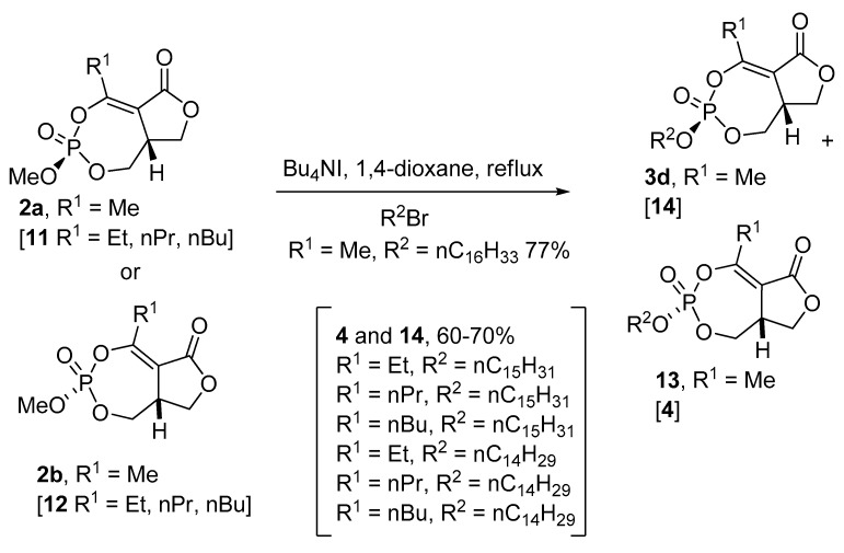 Scheme 2