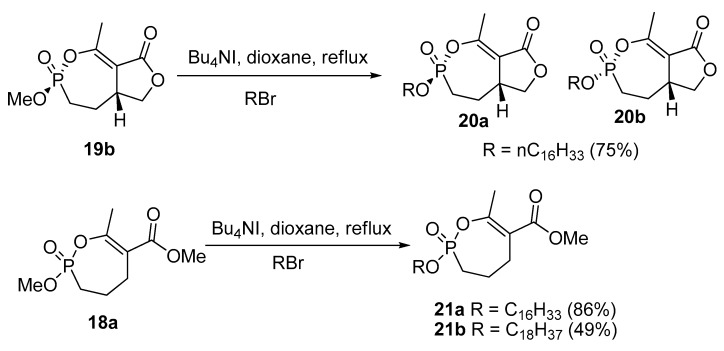 Scheme 5