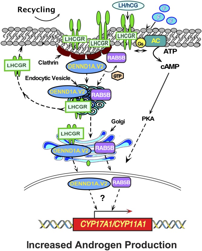 Figure 11.