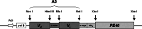 Fig. 1