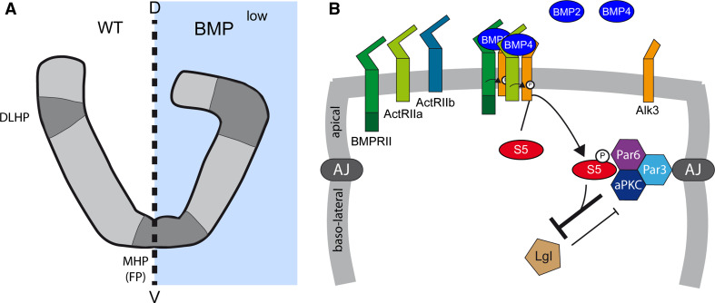 Fig. 3