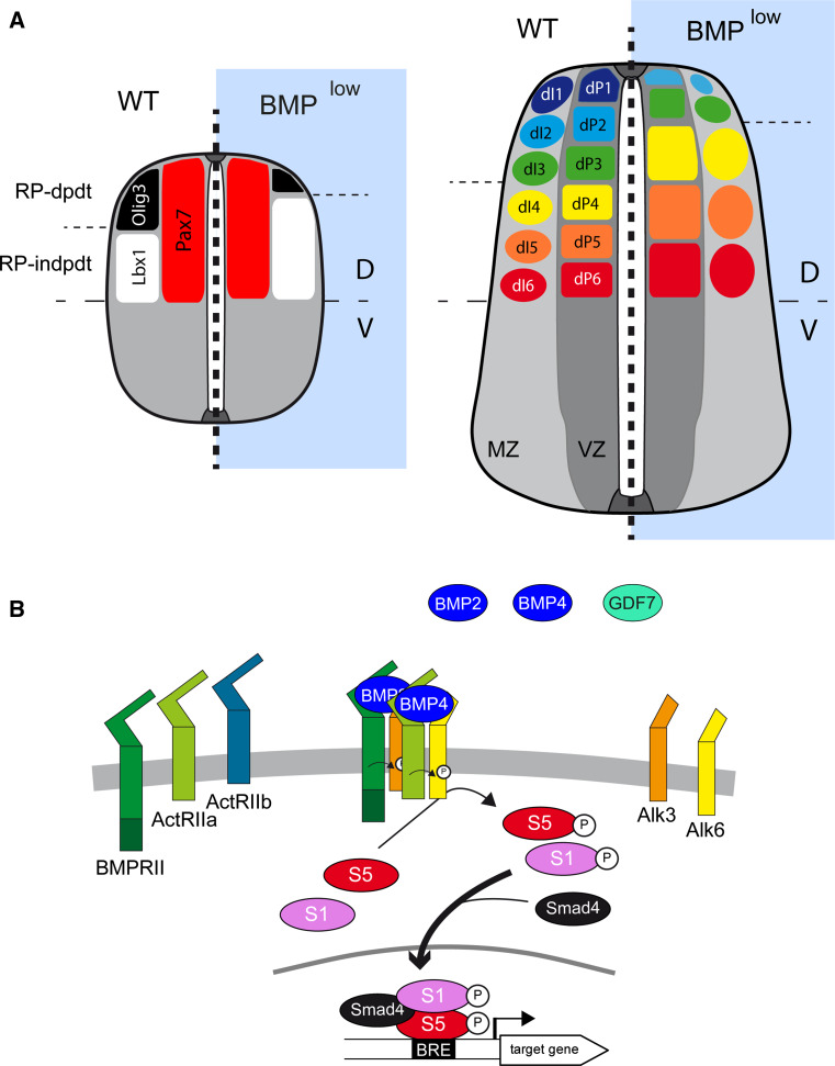 Fig. 4