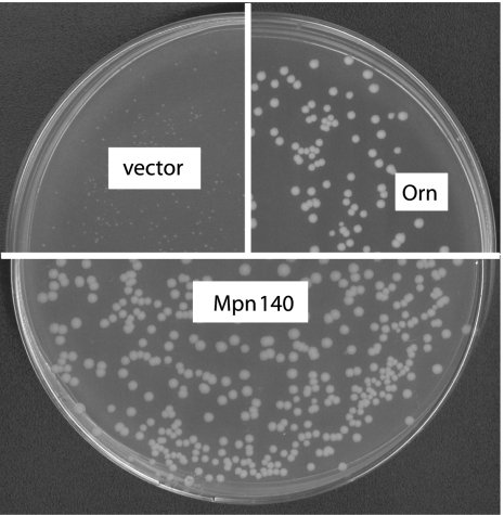 FIGURE 1.