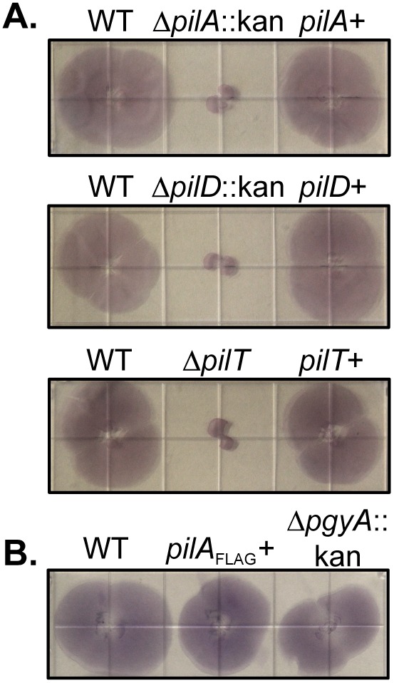 FIG 6 