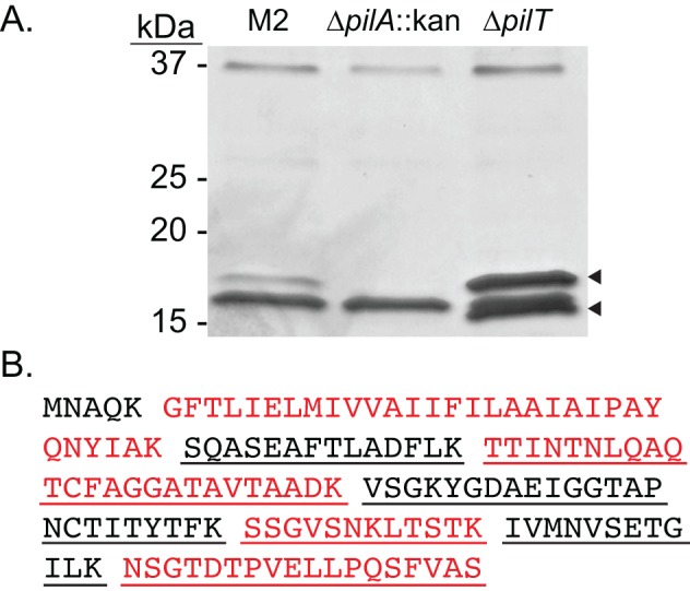 FIG 4 