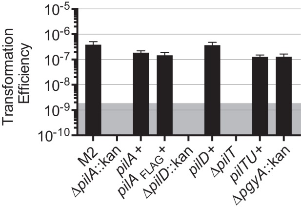 FIG 2 