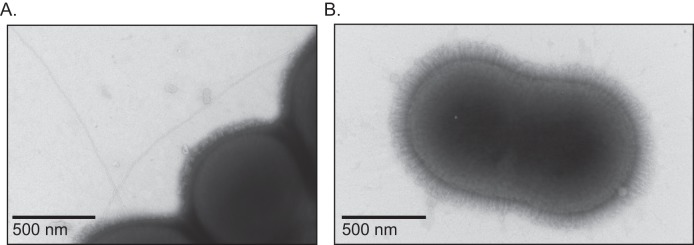 FIG 3 