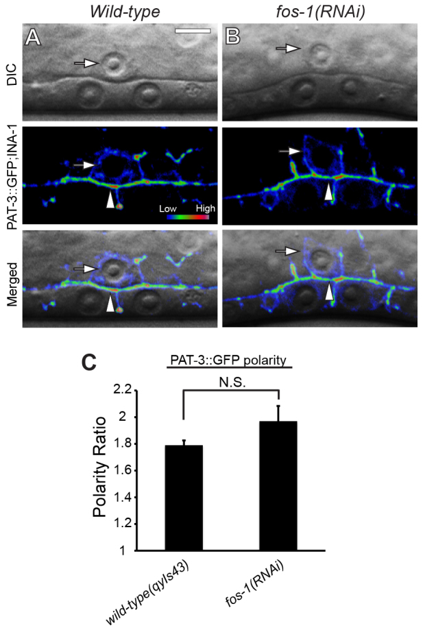 Fig. 6.