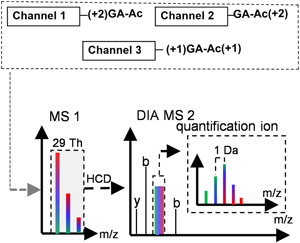 Figure 20