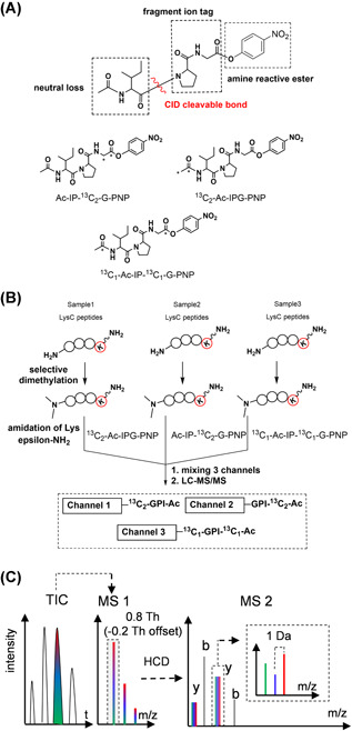 Figure 17