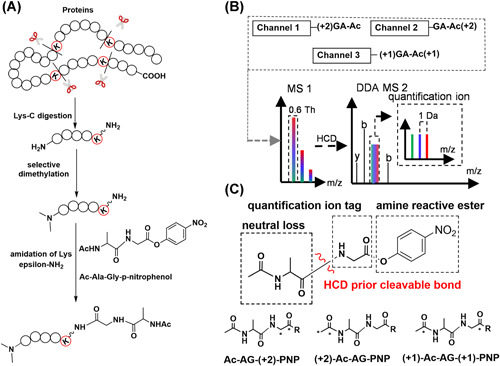 Figure 19