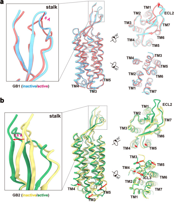 Fig. 4