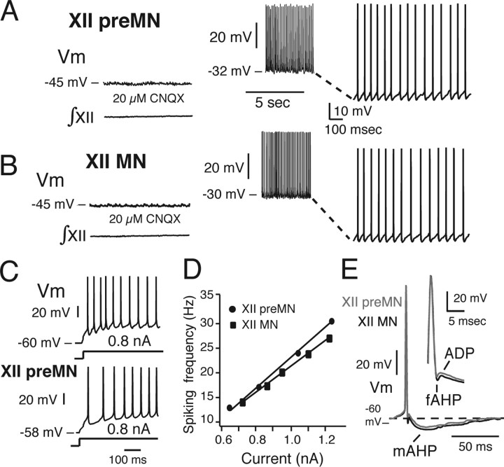 Figure 11.