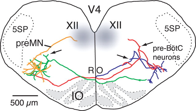 Figure 7.