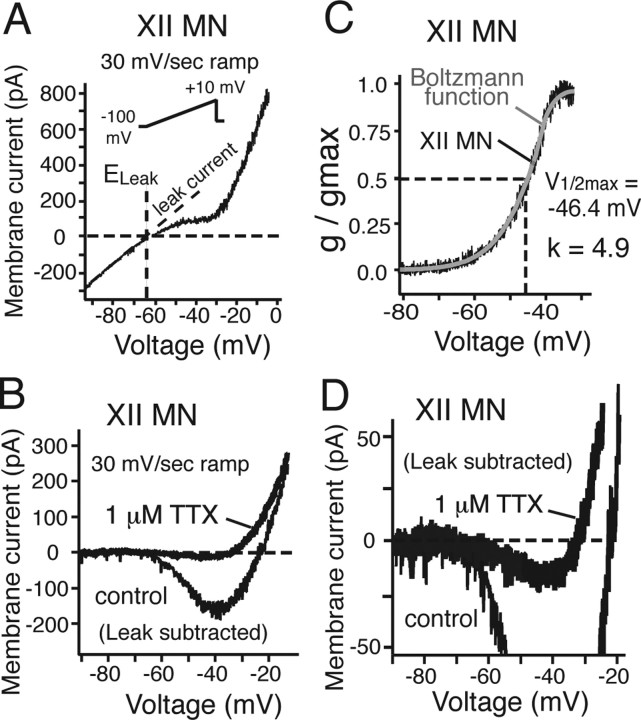 Figure 13.