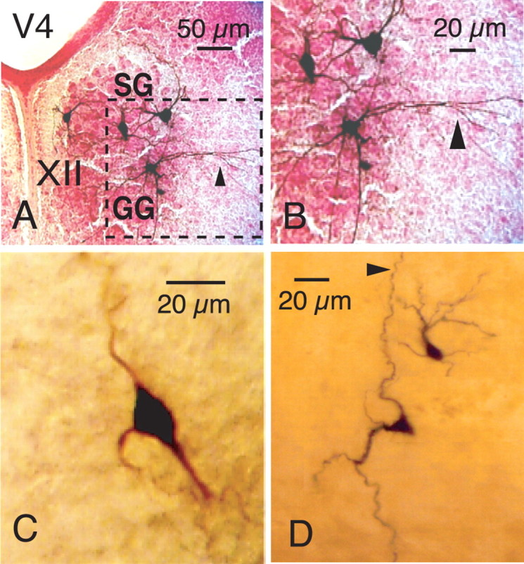 Figure 5.